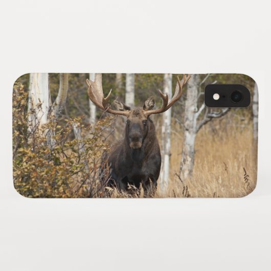 Indrukwekkende Eland Case-Mate iPhone Case (Achterkant (horizontaal))