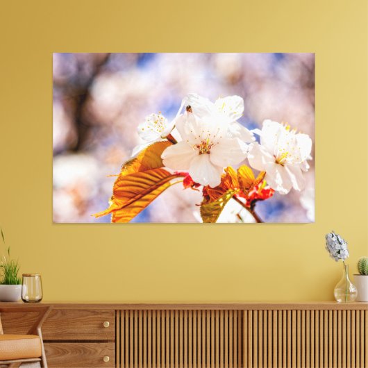 Indrukwekkende kersenbloesems op een zonnige lente canvas afdruk (Insitu (Woonkamer))