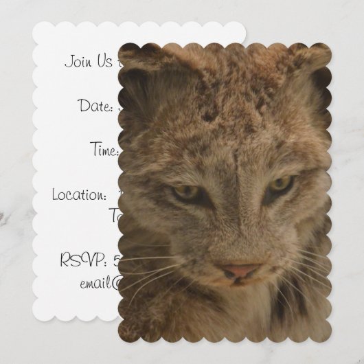 Indrukwekkende Lynx Kaart (Voorkant / Achterkant)