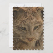 Indrukwekkende Lynx Kaart (Voorkant)