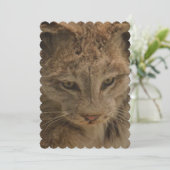 Indrukwekkende Lynx Kaart (Staand voorkant)