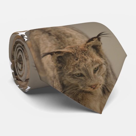 Indrukwekkende Lynx Stropdas (Opgerold)