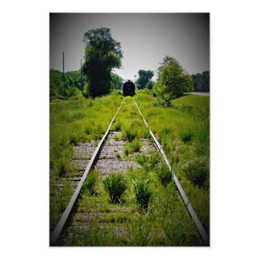 "Indulge in Green Pastures" Foto Afdruk (Voorkant)