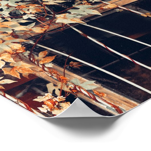 Industrial Glass Window Print (Hoek)