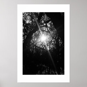 Ineengedoken Hawaï Zwart-wit Fotografie Poster
