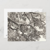 Ineengestrengeld Briefkaart (Voorkant / Achterkant)