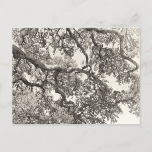 Ineengestrengeld Briefkaart