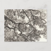 Ineengestrengeld Briefkaart (Voorkant)