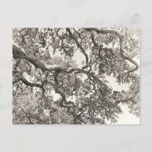 Ineengestrengeld Briefkaart (Voorkant)