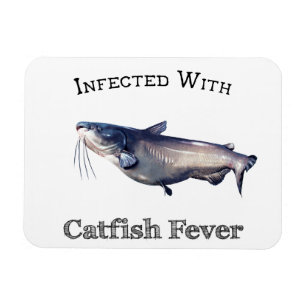 Infectie met katviskoorts magneet