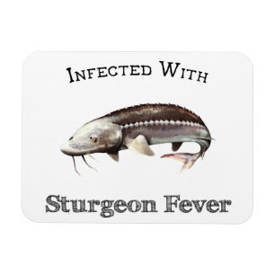 Infectie met urinekoorts magneet