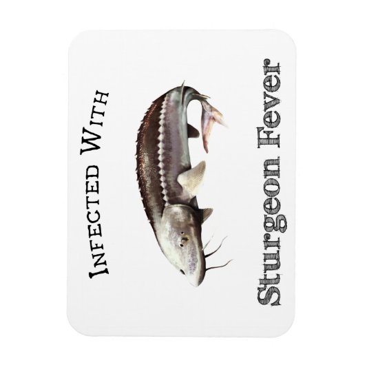 Infectie met urinekoorts magneet (Verticaal)