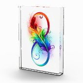 Infineensymbool met regenboogvanger fotoblokken (Rechts)