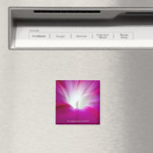 Infini (helderder) magneet (Insitu (Vaatwasser))