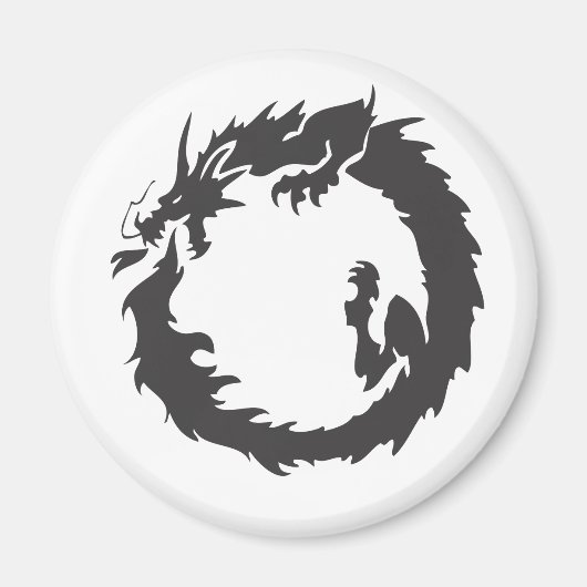 Infinite dragon magneet (Voorkant)