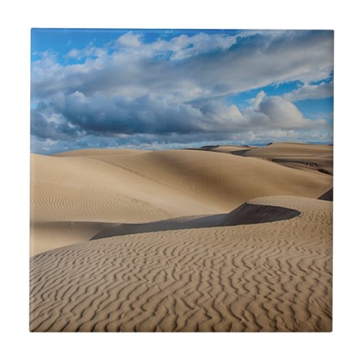 Infinite Dunes Tegeltje (Voorkant)