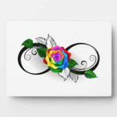 Infiniteitssymbool met regenboogRoos Fotoplaat (voorkant)