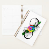 Infiniteitssymbool met regenboogRoos Planner (Display)