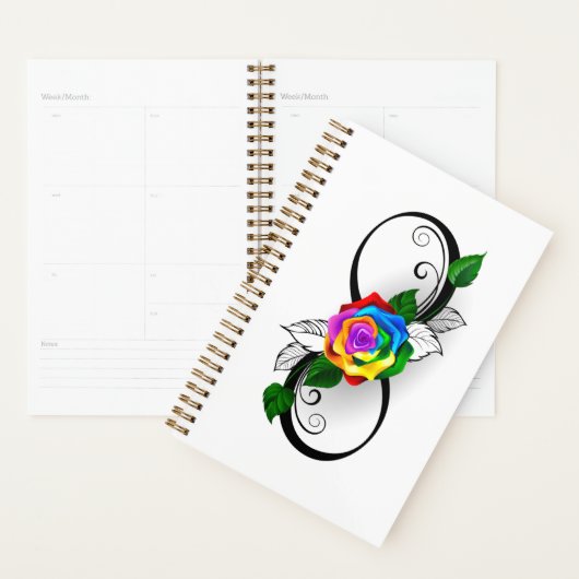 Infiniteitssymbool met regenboogRoos Planner (Display)