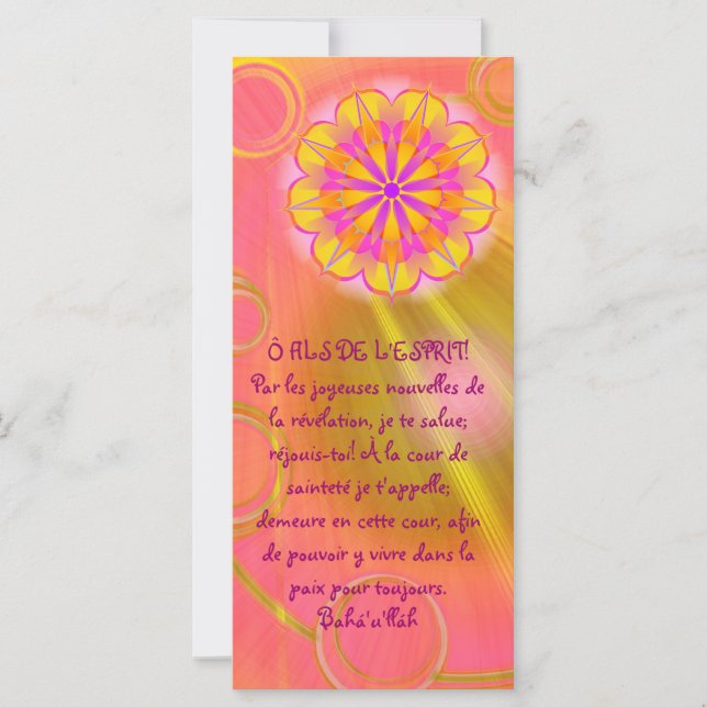 InfiniteLove26 (Voorkant)