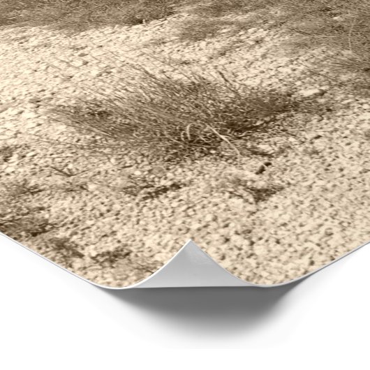 Infiniti G35 Coupe Poster (Hoek)