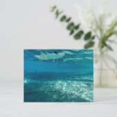 Infinity Blue Briefkaart (Staand voorkant)