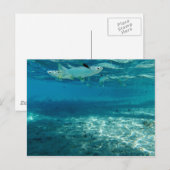 Infinity Blue Briefkaart (Voorkant / Achterkant)