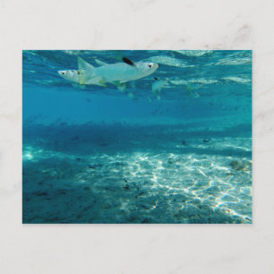 Infinity Blue Briefkaart