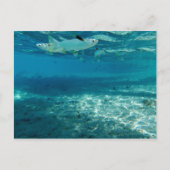 Infinity Blue Briefkaart (Voorkant)