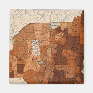 Influenza NY, NJ, New England Magneet