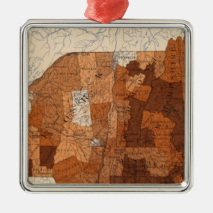 Influenza NY, NJ, New England Metalen Ornament