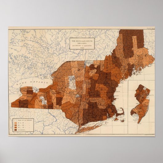 Influenza NY, NJ, New England Poster (Voorkant)