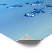 Info Visfamilie Poster (Hoek)