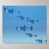 Info Visfamilie Poster (Voorkant)