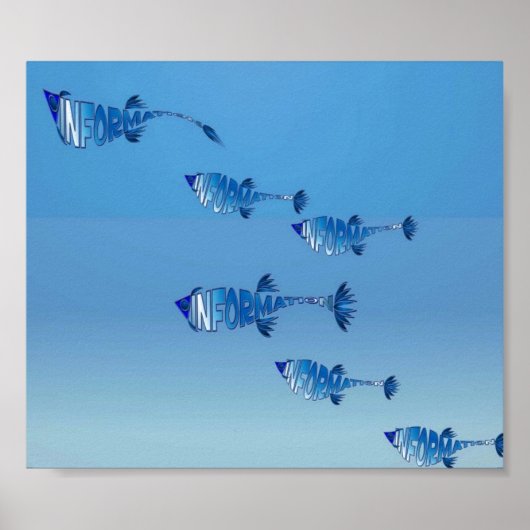 Info Visfamilie Poster (Voorkant)