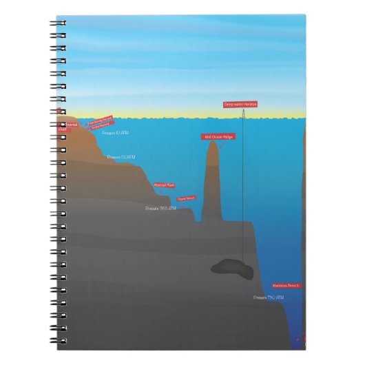 infographic notitieboek (Voorkant)