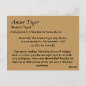 Informatie over de tijgersoort Amur Briefkaart (Achterkant)