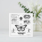 Informatie over monoarch-vlinder kaart (Staand voorkant)