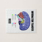 Informatieoverdracht binnen (hersenanatomie) legpuzzel (Horizontaal)