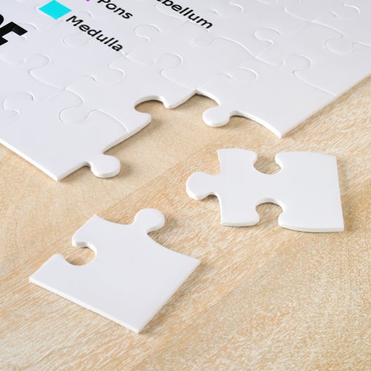 Informatieoverdracht binnen (hersenanatomie) legpuzzel (Zijkant)