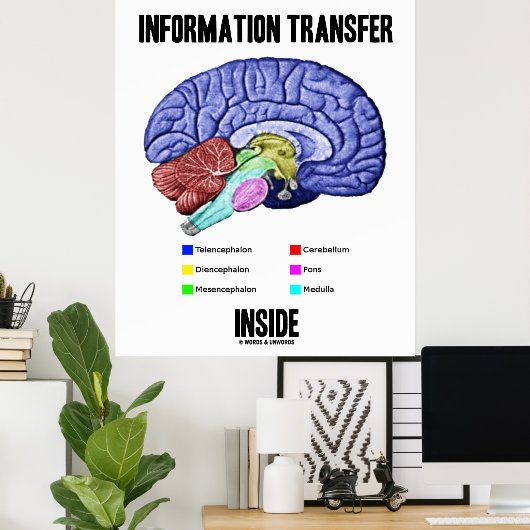 Informatieoverdracht binnen (hersenanatomie) poster (Thuiskantoor)
