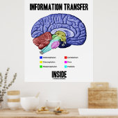 Informatieoverdracht binnen (hersenanatomie) poster (Keuken)