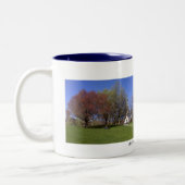 INFP I Dream Mok (Links)