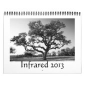 Infrarood - 2013 kalender (Hoes)