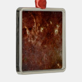 Infrarood afbeelding metalen ornament (Rechts)