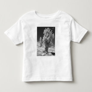 Infrarood foto aan de oostkant van Yosemite Nation Kinder Shirts