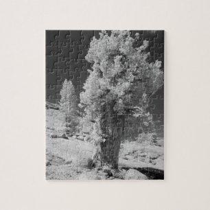 Infrarood foto aan de oostkant van Yosemite Nation Legpuzzel