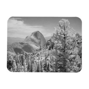 Infrarood foto aan de oostkant van Yosemite Nation Magneet