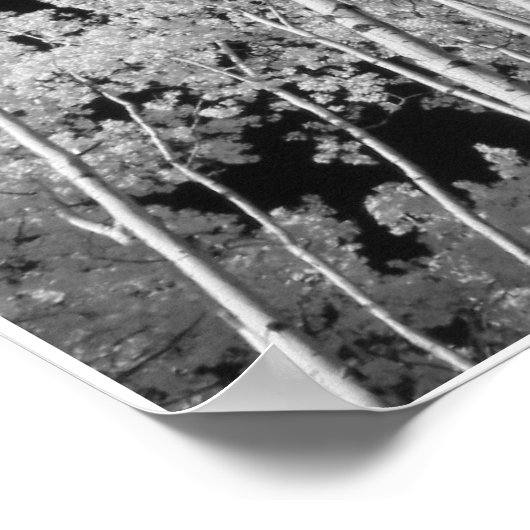 Infrarood Poplar Tree Forest Poster (Hoek)