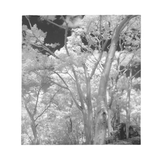 Infrarood van bomen in gebouwen en trails in Las 2 Notitieblok (Voorkant)